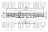 QH_BDC4836_1.JPG