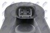 hzt-vw-036_5-wm.JPG