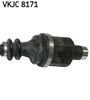 VKJC 8171_3.JPG