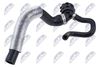 cpp-vw-008_2-wm.JPG