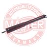315243-PCS-MS.JPG