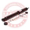 312702-PCS-MS.JPG