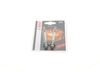 Diesel Glow Plug 0250204902