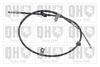 QH_BC4319.JPG