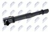 ECZ-FT-010_1-WM.JPG