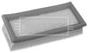 BFA2326_179145.JPG