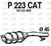 P223CAT.JPG