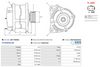 A01170(SEG)_256960.JPG