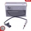 Sensor, Abgastemperatur