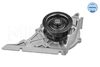 Meyle Water Pump, engine cooling 113 012 0047