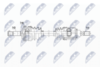 NPW-RE-201_9-WM.PNG
