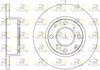 6041-00-MODEL.BMP
