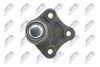 zsd-vw-005_5-wm.JPG
