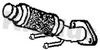 FE1574B.JPG
