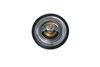 205_725154.ZIP