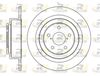 61343-00-MODEL.BMP