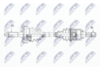 NPW-SB-029_9-WM.PNG