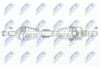 NPW-RE-182_9-WM.PNG