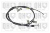 QH_BC3442.JPG