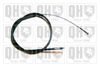 QH_BC3936.JPG