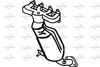 P9255CAT.JPG
