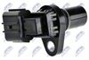 ECP-PL-008_2-WM.JPG