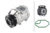 366203691_ACCESSOR_TD_1.JPG