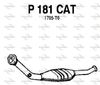 P181CAT.JPG