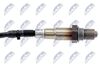 ESL-CT-011_2-WM.JPG