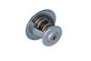 Termostat, chladivo 725214