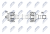NPW-BM-227_9-WM.PNG