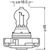 Osram 2504 Bulb, direction indicator