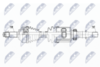 NPW-NS-062_9-WM.PNG