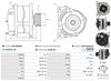 A01109(SEG)_256960.JPG