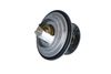 Termostat, chladivo 725100