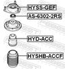 HYSS-GEF_1.JPG
