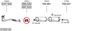 SYS22126.JPG
