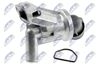 CTM-CH-025_2-WM.JPG