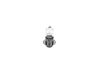 Bosch Bulb, spotlight 0 986 AL1 810