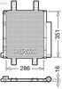 DCN35005_1961725.JPG