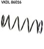 VKDL 86016.JPG
