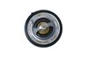 205_725196.ZIP