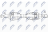 NPW-RE-189_9-WM.PNG