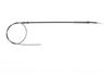 RMK62.1688.JPG