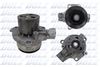 A255V.BMP