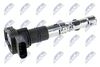 ecz-vw-005_1-wm.JPG