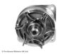 ADN19191_3.JPG