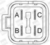 ZS417_49033.JPG