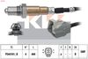 498 564-KW.JPG