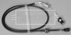 BKA1103_324101.JPG